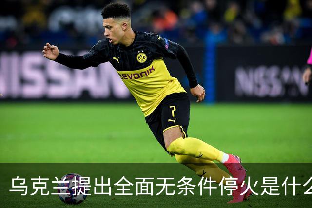 乌克兰提出全面无条件停火是什么，为何俄罗斯反而加大打击力度？